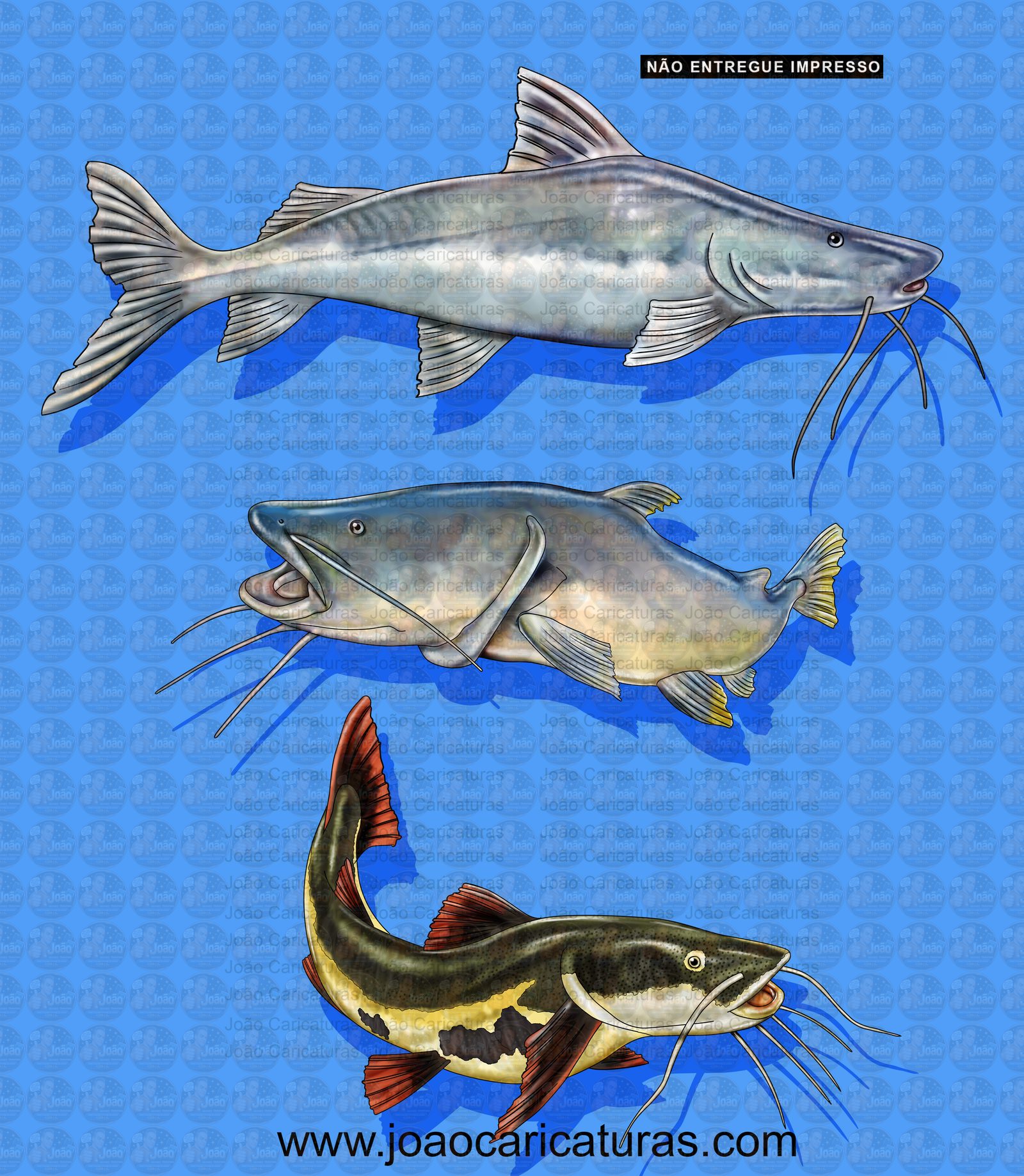 Desenho feito sobre encomenda de peixes, Jaú, Piraiba, Pirarará, clube, pescador, aquático, Ariranha, Pacú, peixe de agua doce, logo, pescaria, encontro